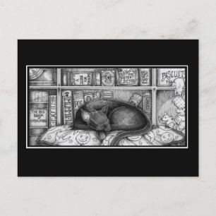 Victorian Library Cat Postcard