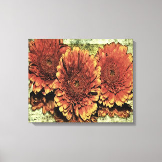Victorian Orange Zinnias Flowers Canvas Print