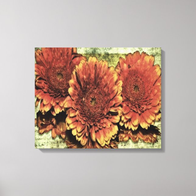 Victorian Orange Zinnias Flowers Canvas Print (Front)
