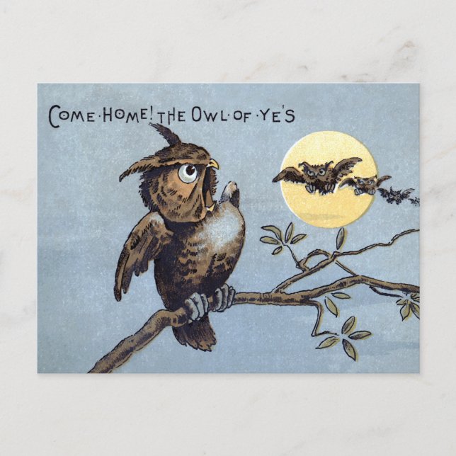 Victorian Owls Postcard  (Front)
