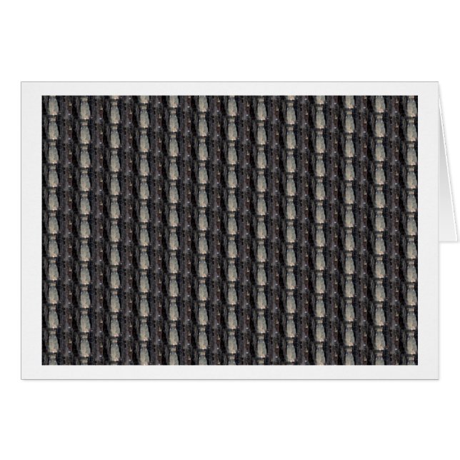 Victorian Patterns (Front Horizontal)