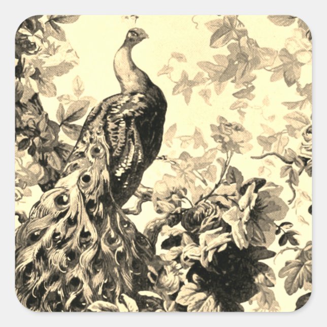 Victorian peacock floral elegant toile pattern square sticker (Front)