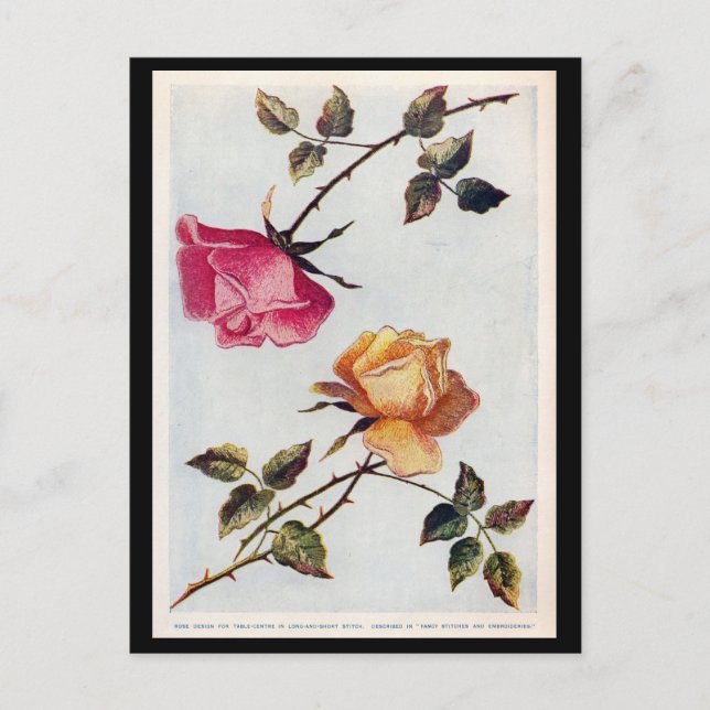 Victorian Pink and Yellow Roses Postcard (Front)