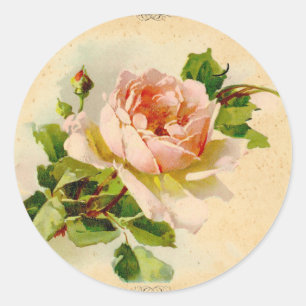 Victorian Pink Rose Classic Round Sticker