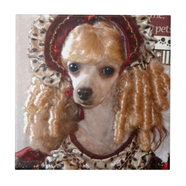 Victorian Poodle Love Dog Pose Tile (Front)