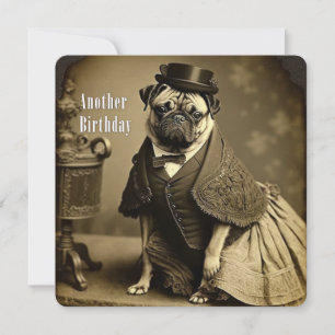 Victorian Pug Birthday Card - Funny picture of Pug