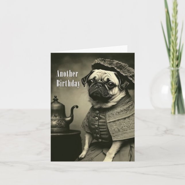 Victorian Pug Birthday Card - Funny picture of Pug (Front)