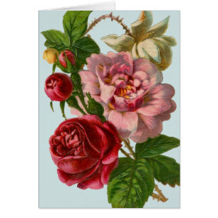 Victorian Rose Illustration Card