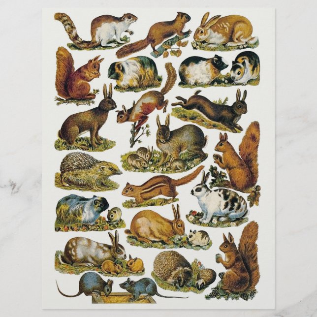 Victorian Small Animal Fussy Cuts (Front)