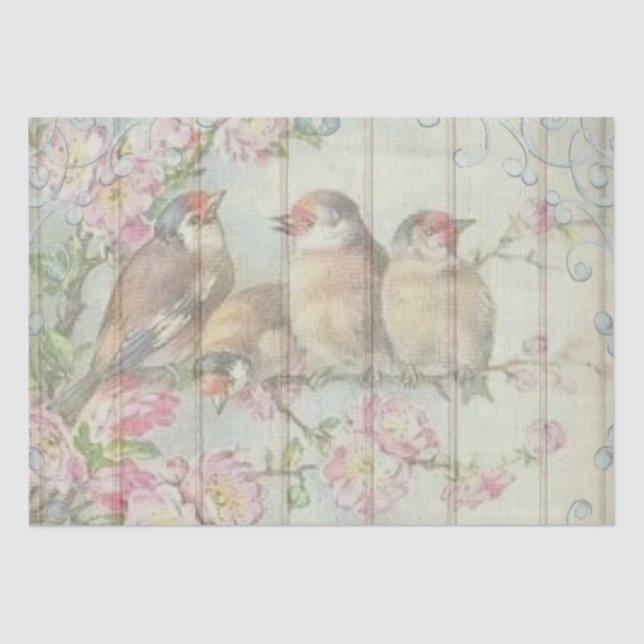 Victorian Songbirds Tissue Paper (Front)