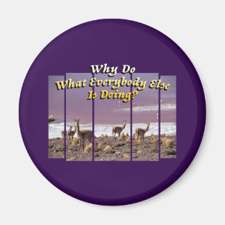 Vicuña Guanaco Lover - Travel Adventure Quote Magnet