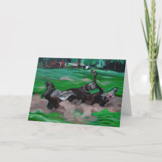Vide de Cheval roux