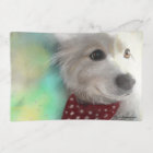 BANDANA AMÉRICAIN d'ESKIE w/RED, original par