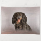 Dessin Chien race dachshund