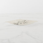 Giraffe Portrait | Croquis