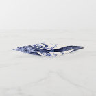 Octopus bleu paysage