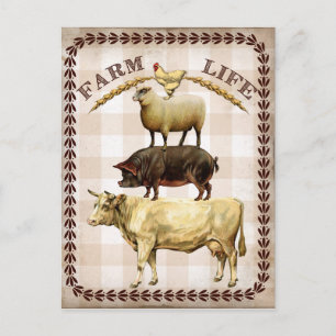 Vie agricole vintage Pays carte postale