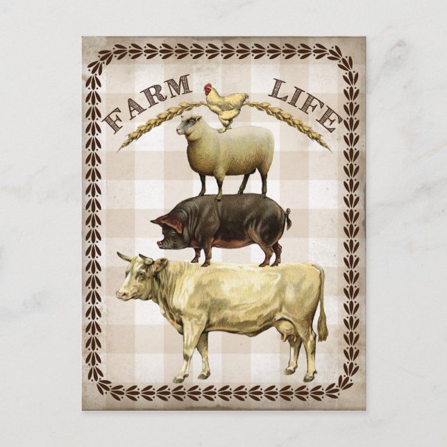 Vie agricole vintage Pays carte postale (Devant)