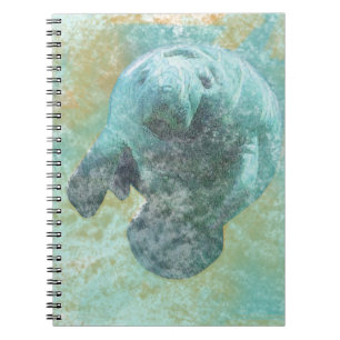 Vie côtière Belle Manate   CARNET