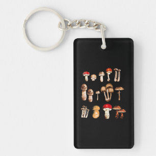 Vie du champignon Picker