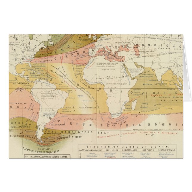 Vie marine (Devant horizontal)