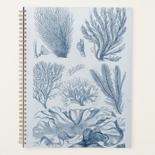 Vie marine nautique (Devant)