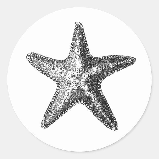 vie marine "STARFISH" ENVELOPE SEAL STICKER (Devant)
