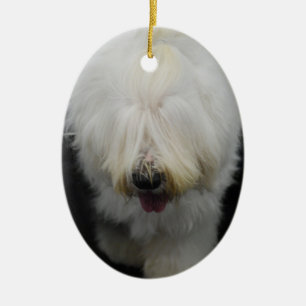 Vieil ornement anglais mignon de chien de berger