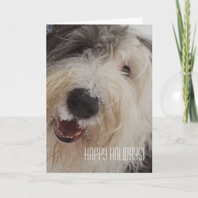 Vieille carte anglaise de chien de berger - bonnes (Devant)