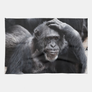 Vieille serviette de main de chimpanzé