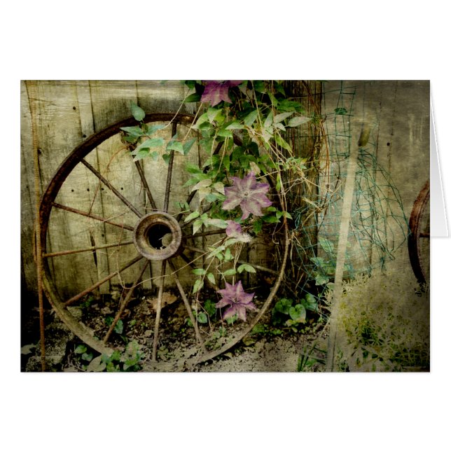 Vieilles roues (Devant horizontal)