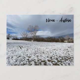 Viena - Áustria Postcard
