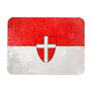 Vienna Magnet