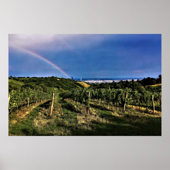 Vienna Vineyard Rainbow Poster (Front)