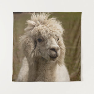 VIENNA WIEN ÖSTERREICH AUSTRIA ALPAKA LAMA ANIMAL TAPESTRY