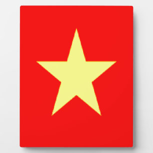 vietnam flag plaque