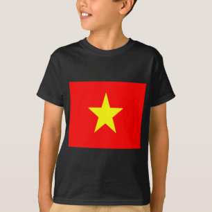 vietnam flag T-Shirt