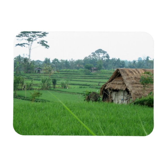 Vietnam Landscape Magnet (Horizontal)
