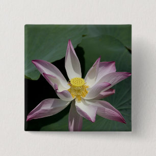 Vietnam, near Saigon) My Tho. Vinh Trang 2 Inch Square Button