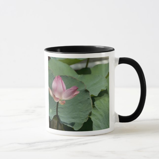 Vietnam, near Saigon) My Tho. Vinh Trang 2 Mug (Right)