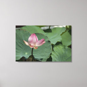 Vietnam, near Saigon) My Tho. Vinh Trang Canvas Print