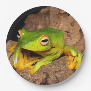 Vietnamese Black-Webbed Gliding Frog Paper Plate