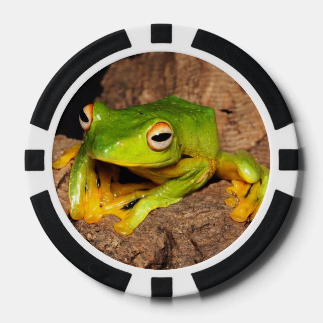 Vietnamese Black-Webbed Gliding Frog Poker Chips (Front)