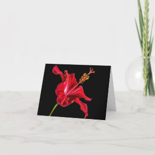 Vietnamese Frangapani All Occasion Notecard