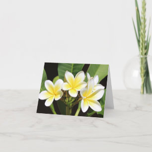 Vietnamese Frangipani All Occasion Notecard