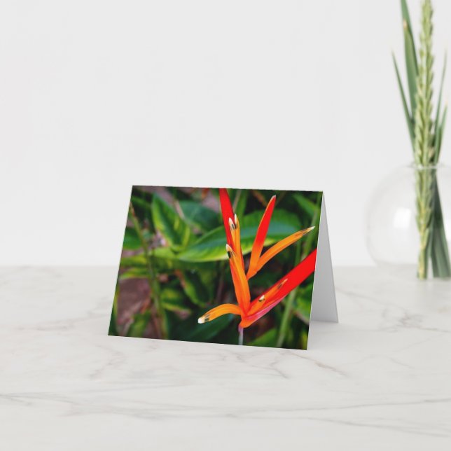 Vietnamese Heliconia All Occasion Notecard (Front)