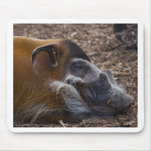 Vietnamese Hog Mouse Pad