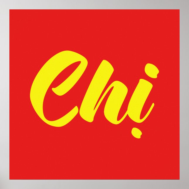 Vietnamese Sister - Chị ~ Tiếng Việt Language Poster (Front)