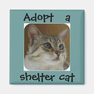 Vieux aimant d'yeux bleus