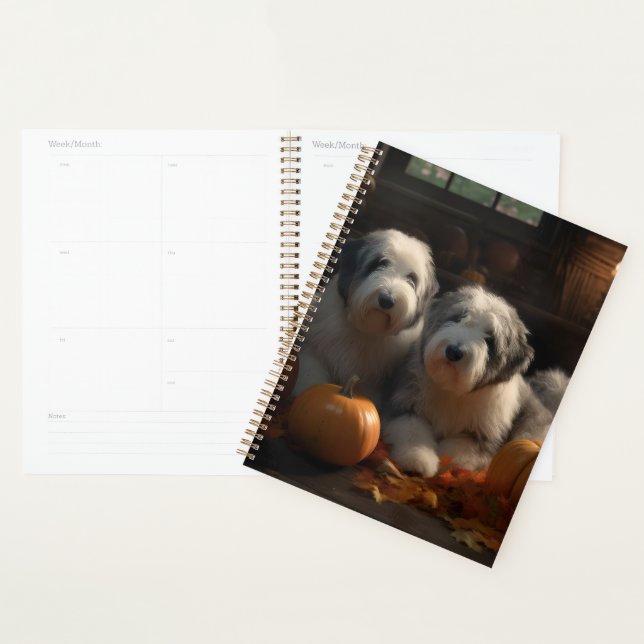 Vieux anglais Sheepdog Chiot Chiot Automne Citroui (Devant avec enveloppe)